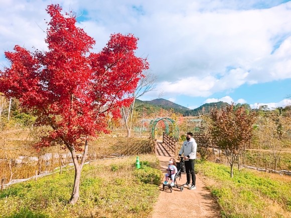 #부산 아이와가 볼만한 바다 운대수목원 44