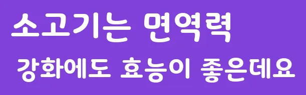 소고기는 면역력 강화에도 효능이 좋은데요
