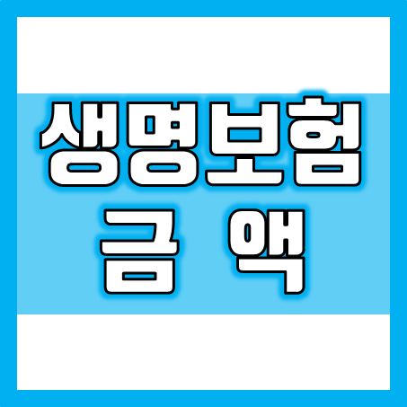  생명보험금액, 얼마인지 비교 후 추천 회사로 가입 하세요.