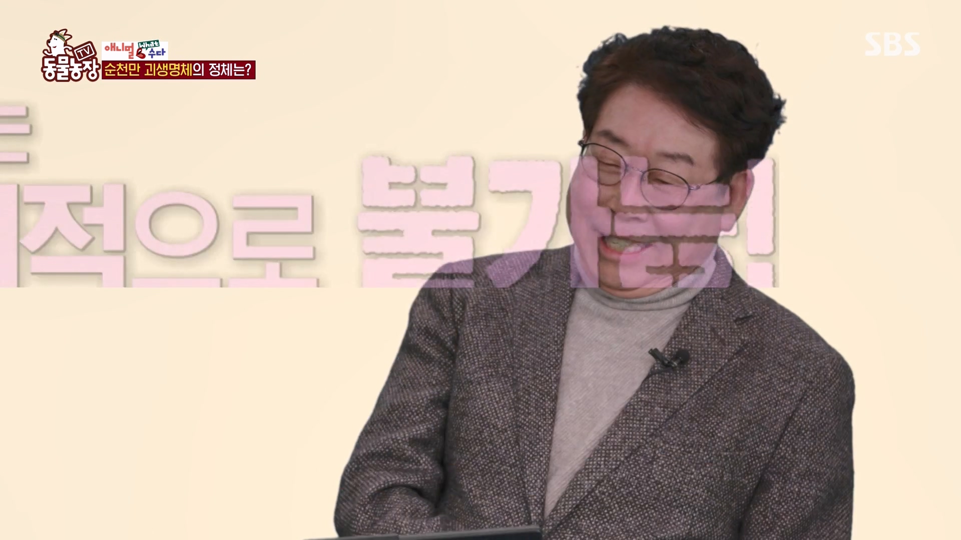 TV 동물농장.E1164.240324p-NEXT.mp4_20240324_170425.907.jpg