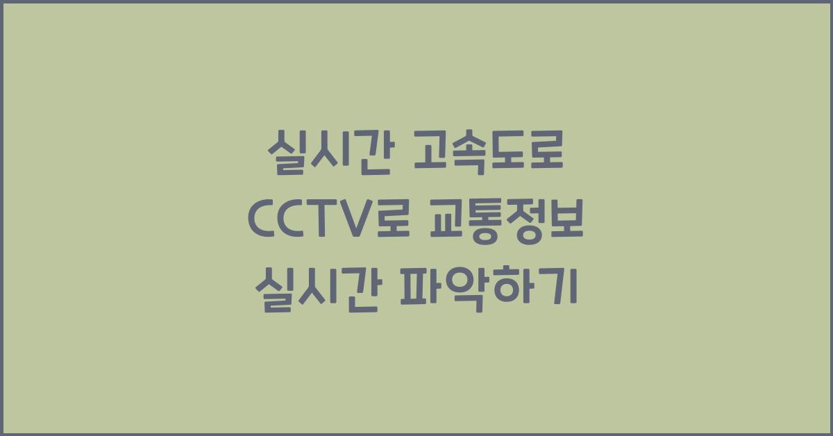 실시간 고속도로 cctv