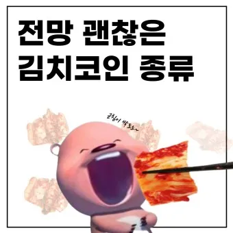 김치코인 종류 전망_3