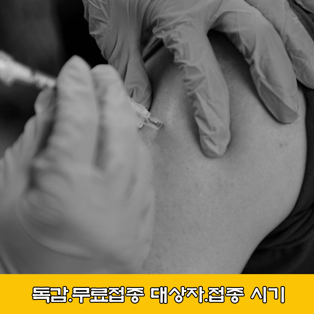  독감.독감 무료 접종 대상자.독감 접종 시기