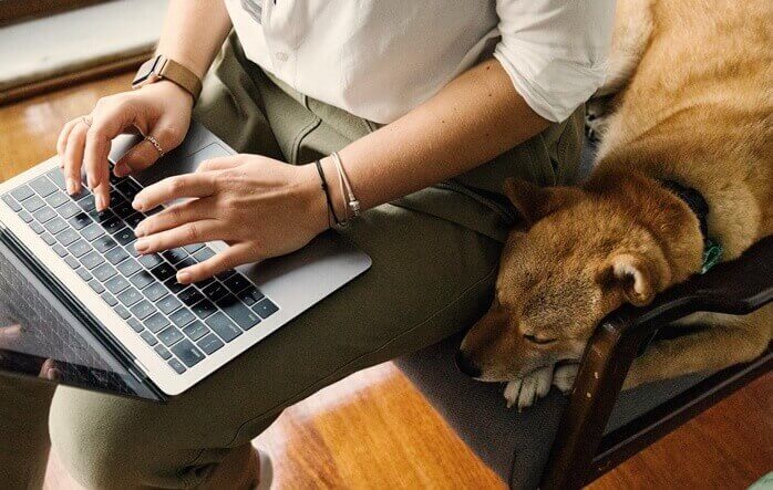 노트북을 사용하고 있는 여자가 앉은 의자 뒤에 엎드려있는 갈색 개 한마리