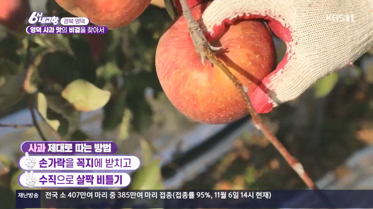 6시 내고향.E7907.231108p.H264-F1RST.mp4_20231108_203033.653.jpg