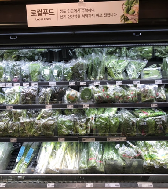 긴급재난지원금 조회