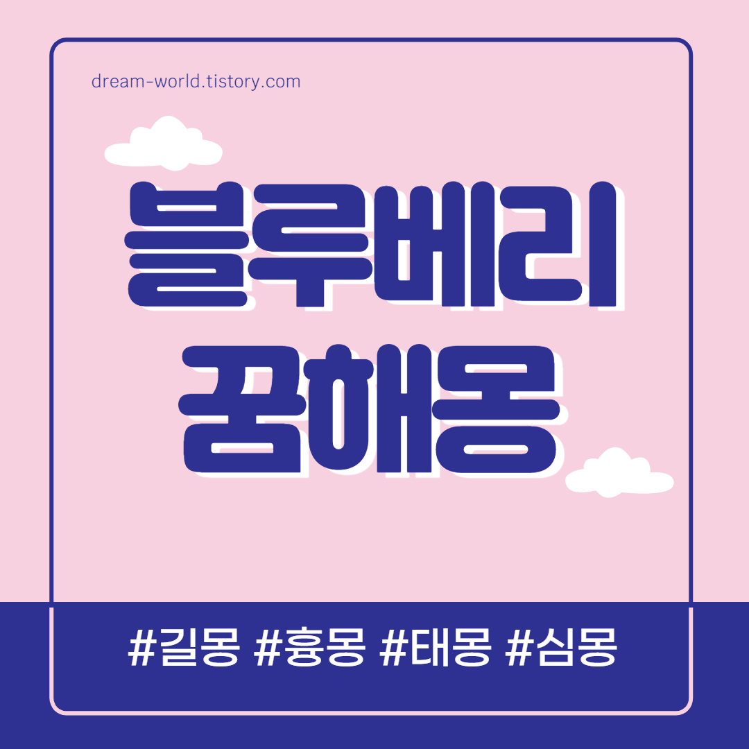  블루베리 꿈해몽 13가지 총정리 (블루베리 먹는 꿈 해몽, 블루베리 따는 꿈, 블루베리 사는 꿈 풀이)