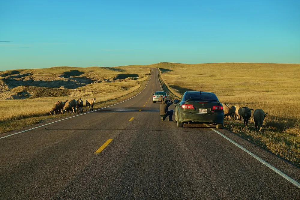 BNP - Badlands Loop Road (SD-240)