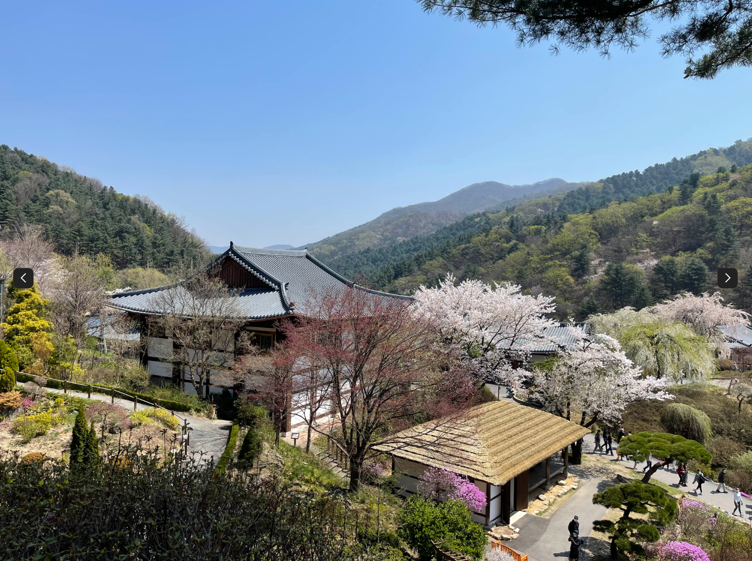 아침고요수목원
