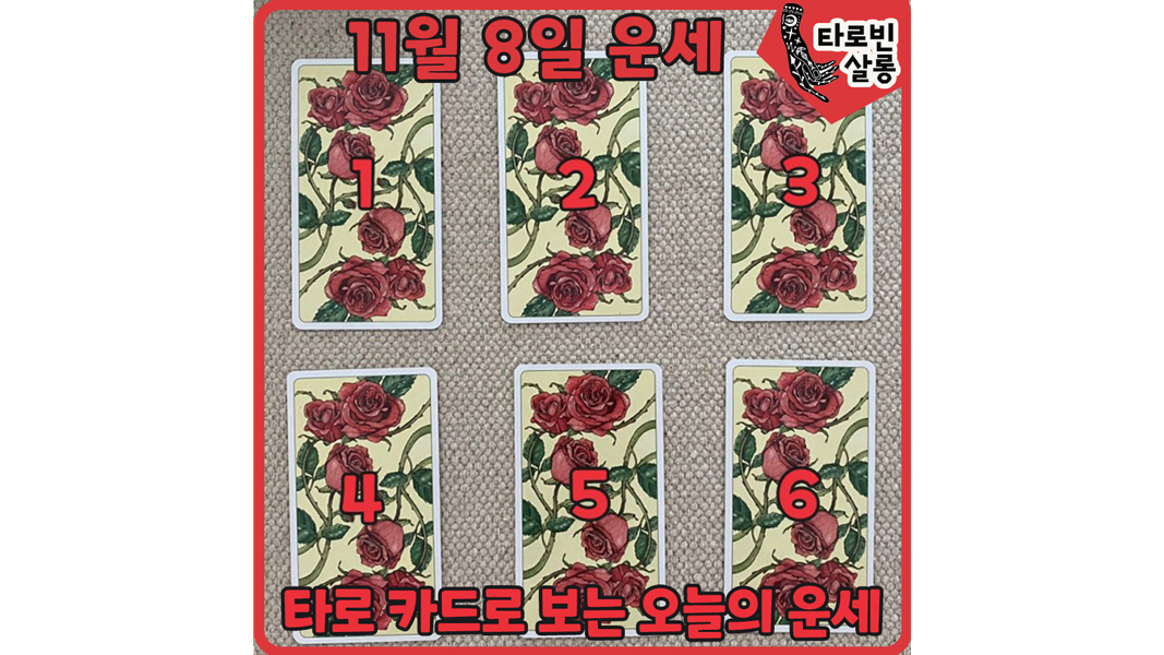  [11월 8일 운세] 타로 카드로 보는 365일 오늘의 운세