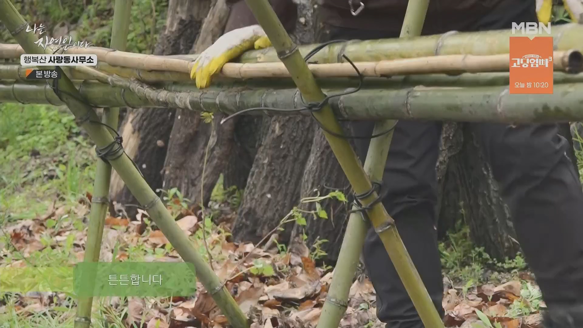 나는 자연인이다.E552.230503p.H264-F1RST.mp4_20230504_200312.679.jpg