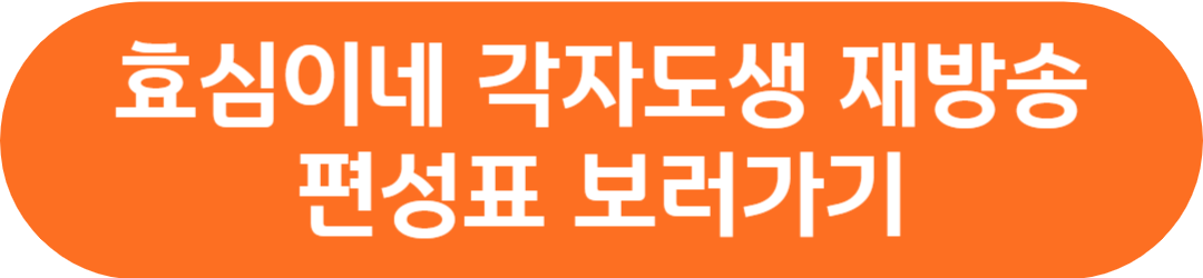 주말드라마 효심이네 각자도생 인물관계도 등장인물 출연진 인스타그램 시청률 재방송 편성표