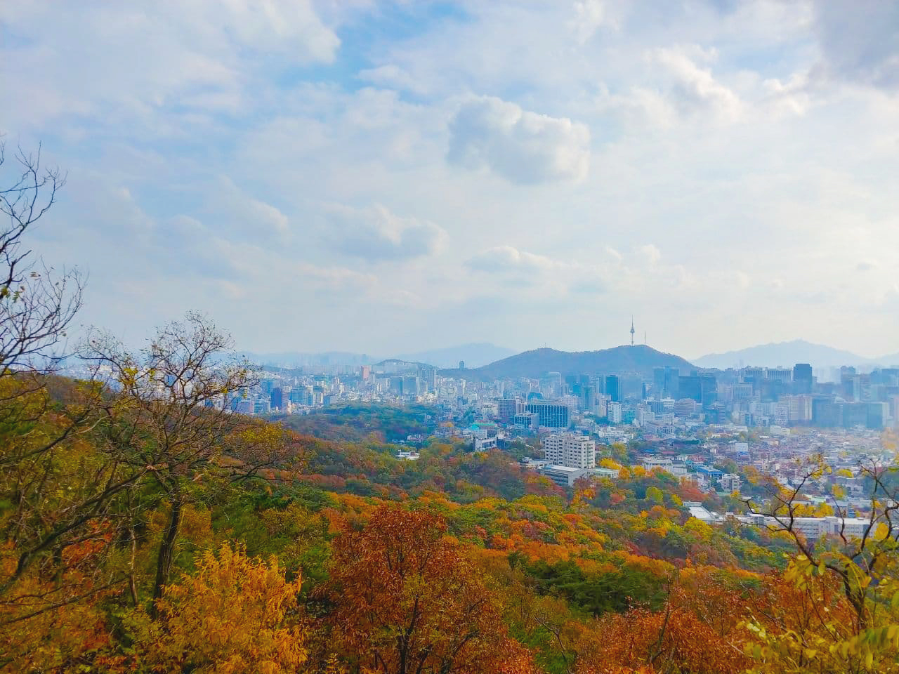  오늘부터 티스토리 시작!
