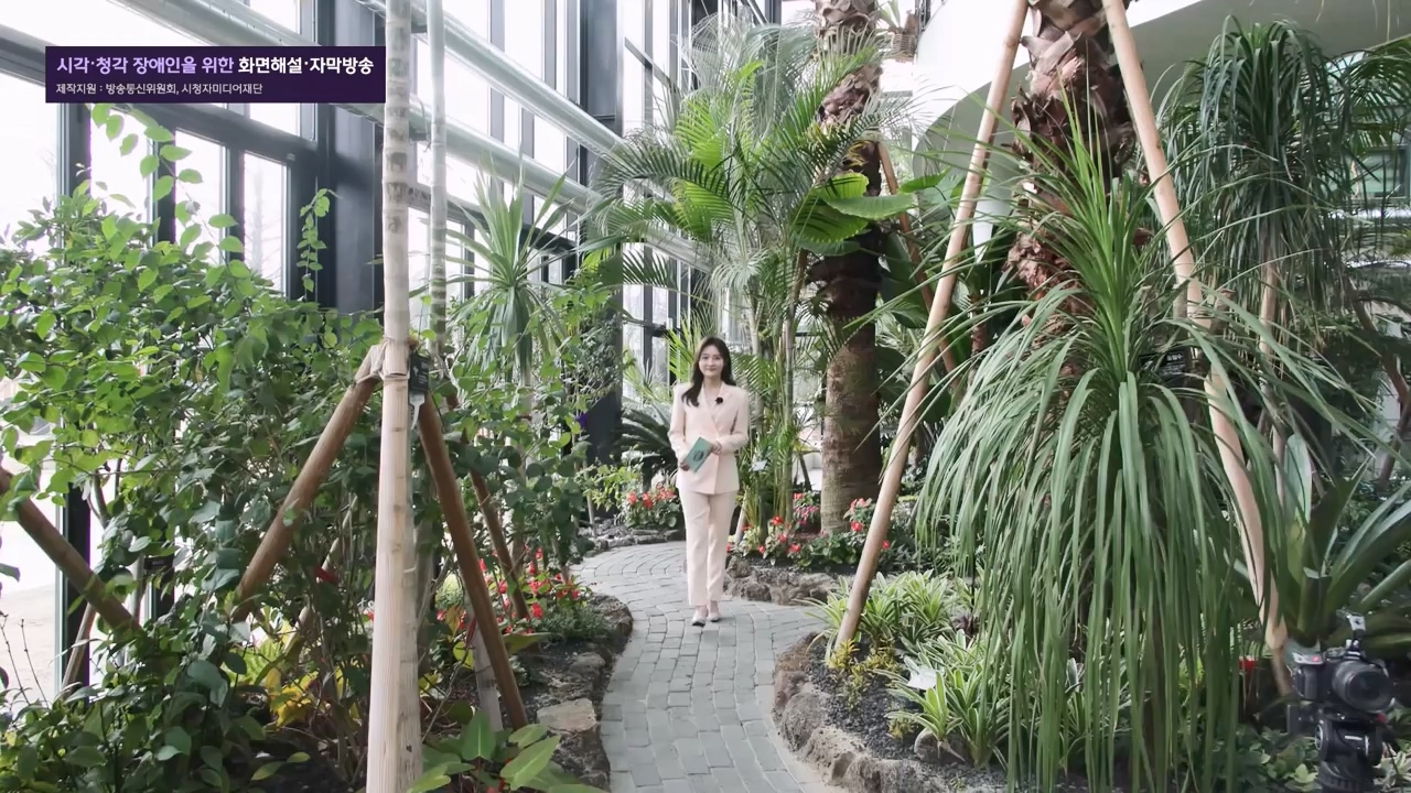 MBC 네트워크 특선 - 다문화 활력 프로젝트 다정다감.E1669.240325p-NEXT.mp4_20240328_202435.359.jpg