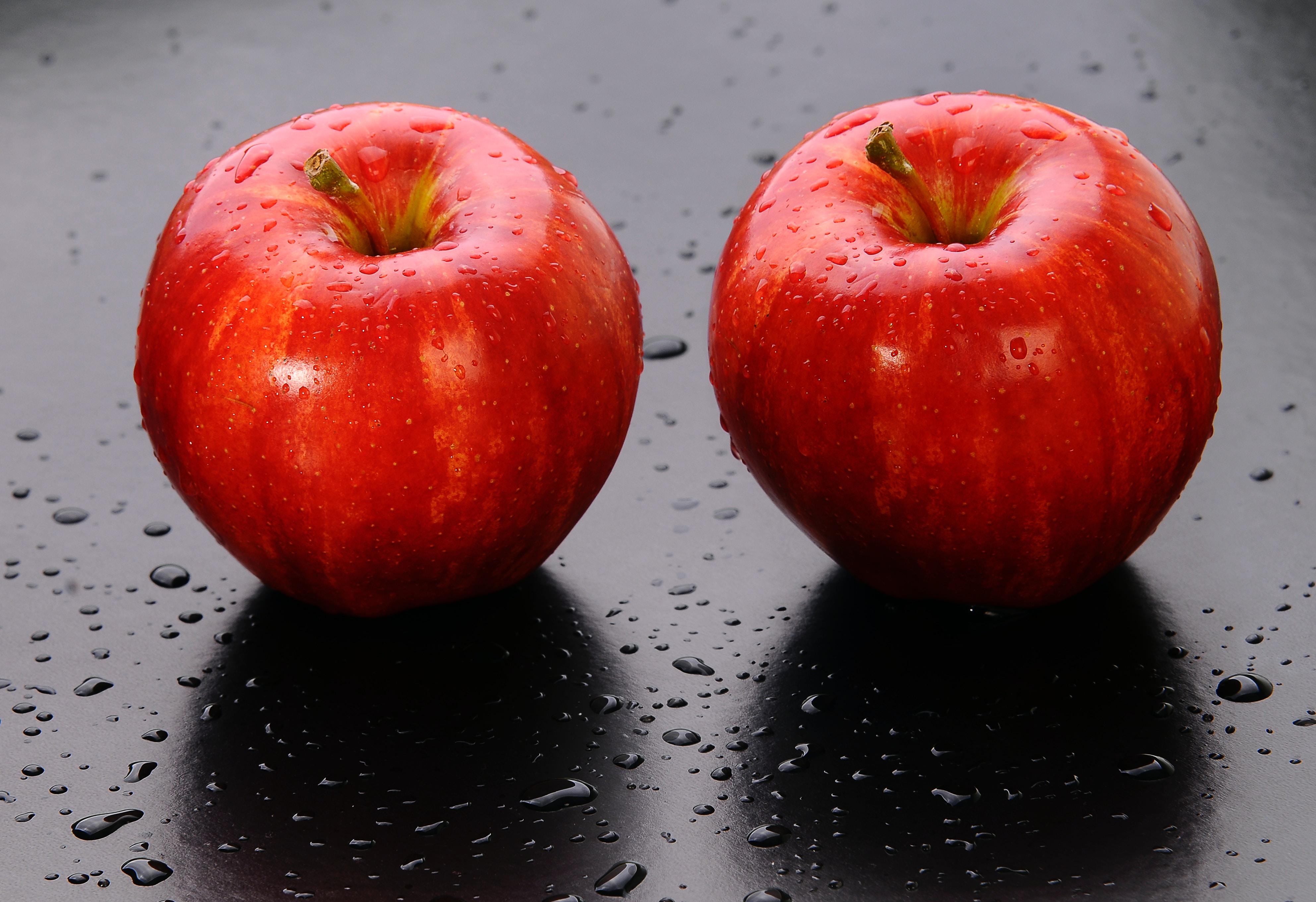 야생에서 채취를 한 사과를 잘 세척한 후에 검은 바닥 위에 빨갛게 잘 익은 사과 2개를 나란히 놓고 찍은 사진