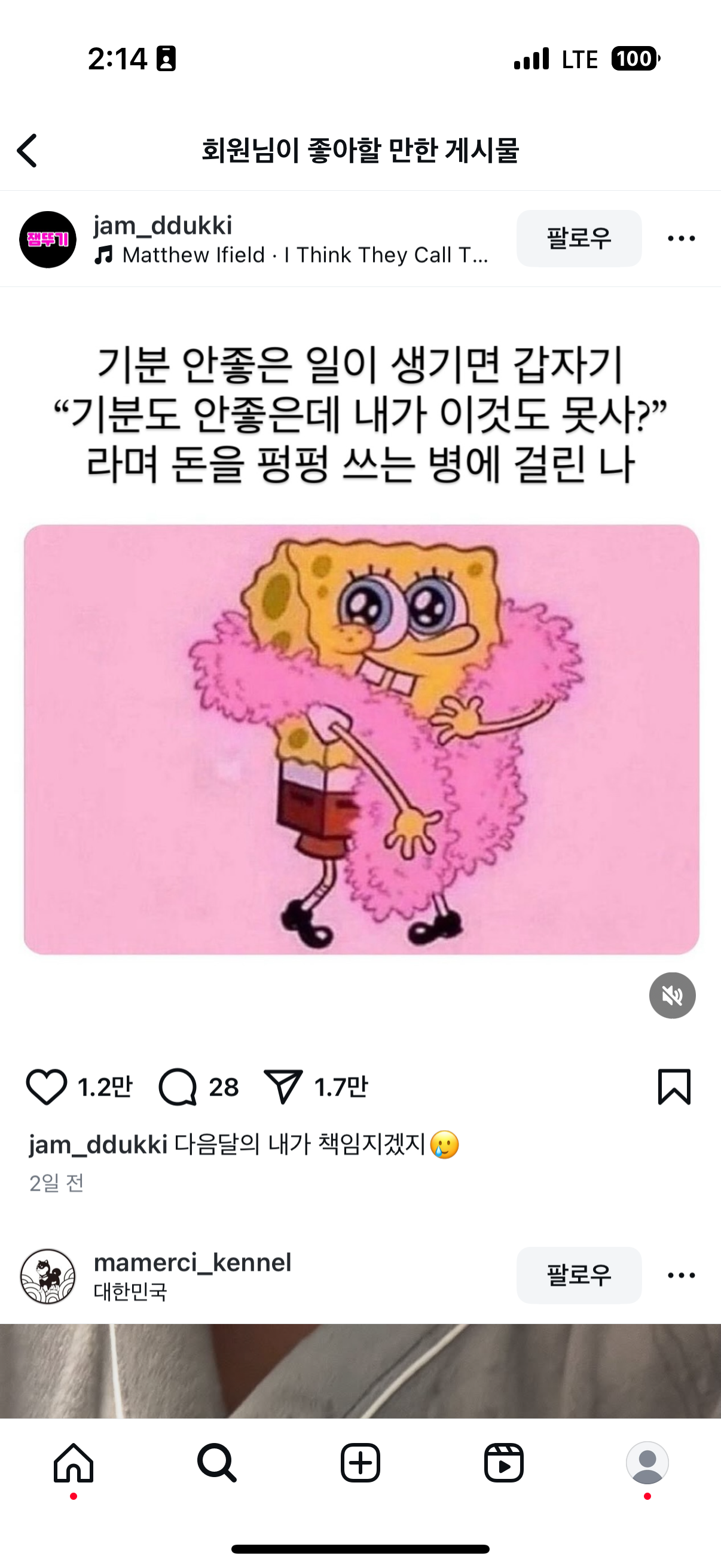 차니애드 이미지