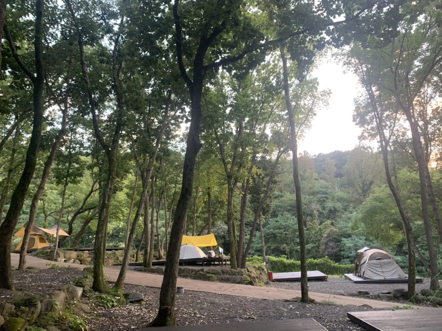 비슬산자연휴양림, 숲캠핑, 6번데크후기 대구 캠핑 31