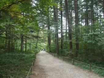 숨겨진 힐링 명소로 떠나는 포천 광릉수목원 완전 정복 가이드북 2025_18