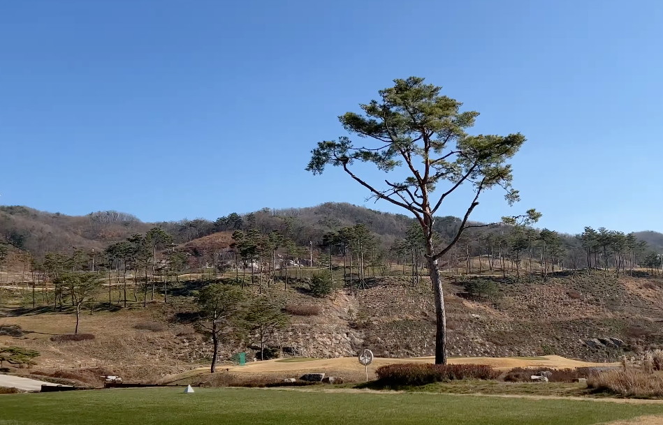  겨울 골프 라운딩, 팁과 노하우로 즐기는 색다른 골프 체험