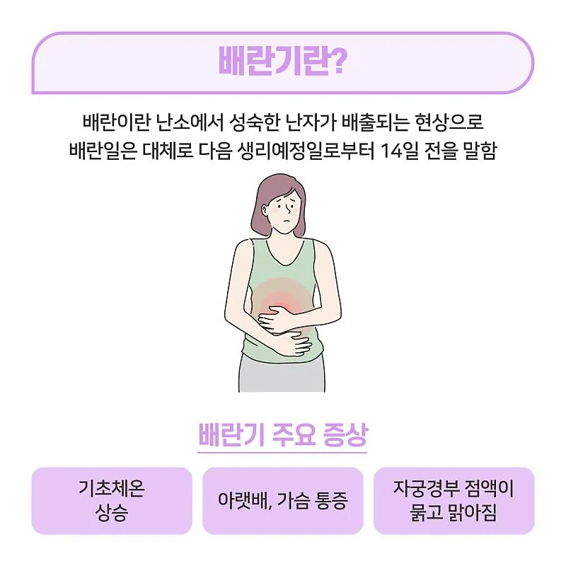 생리전 생리후 임신가능성 배란일 확인_4