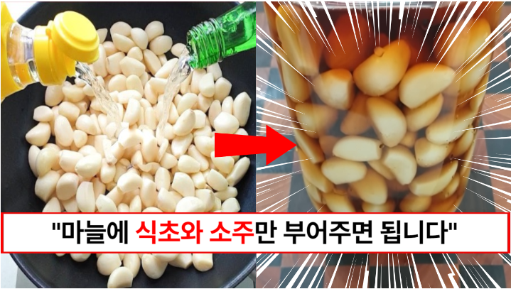 “마늘에 식초와 소주를 부어주세요” 혈압, 콜레스테롤, 염증, 면역력까지 건강식품 마늘 맛있게 먹는 법 “마늘에 식초와 소주를 부어주세요” 혈압, 콜레스테롤, 염증, 면역력까지 건강식품 마늘 맛있게 먹는 법