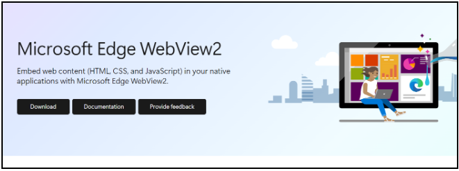 msedgewebview2.exe 이미지