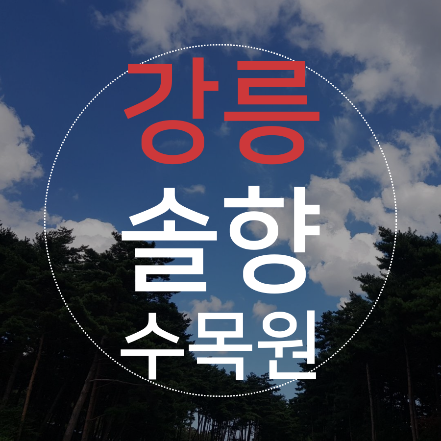  강원도 강릉 솔향 수목원 방문기