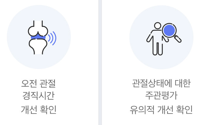 콘드로이친에 대한 종합 가이드: 효능&#44; 복용량