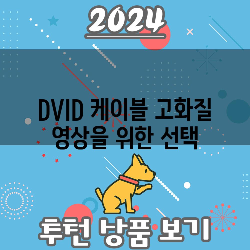 DVID 케이블 고화질 영상을 위한 선택