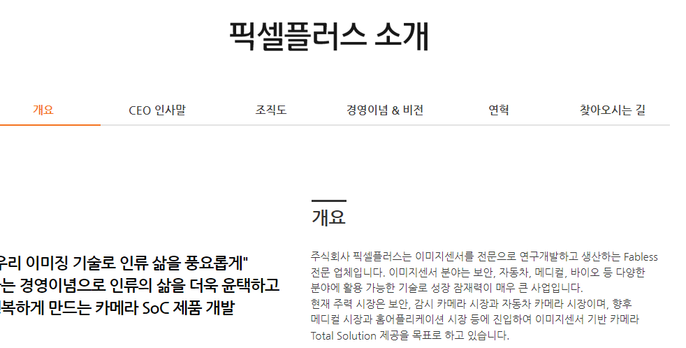  2분기 스크리닝 - 픽셀플러스