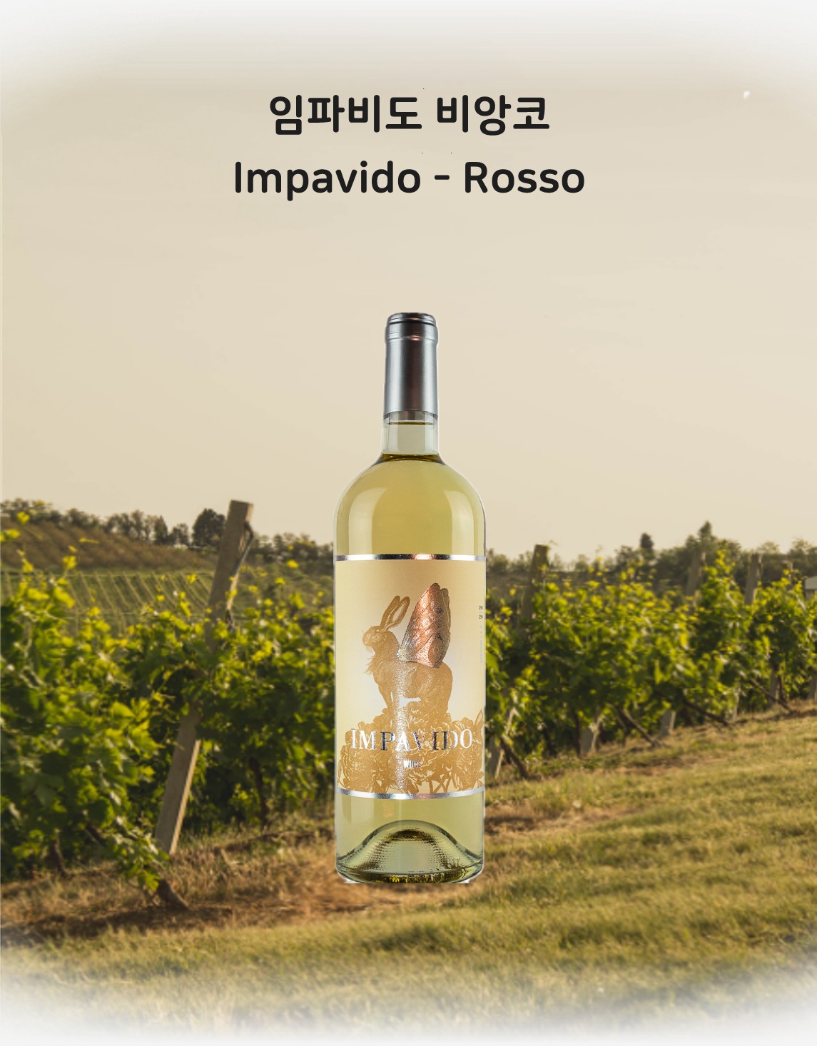 임파비도 비앙코