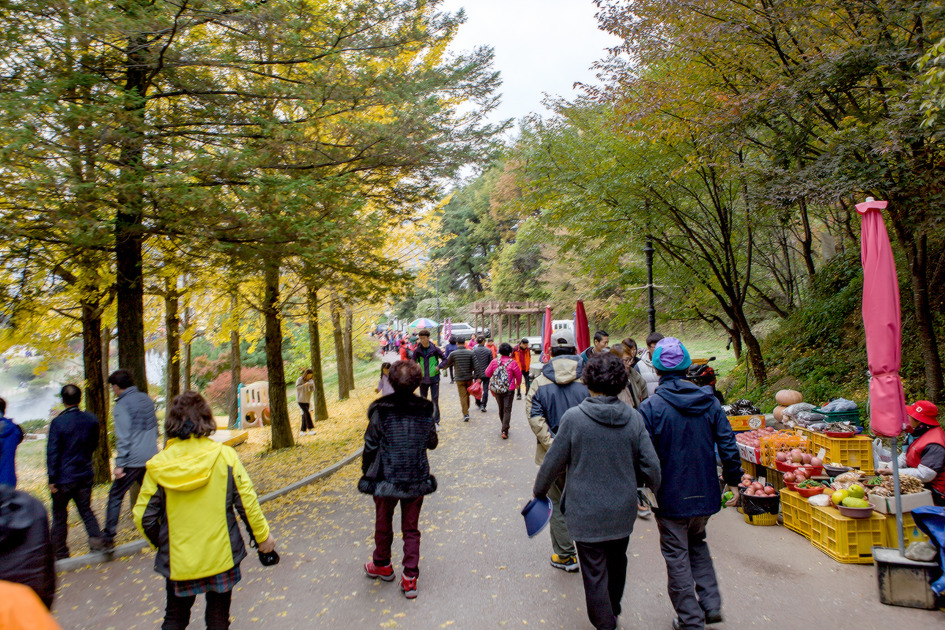 팔령 팔우회 2016 가을나들이 2 (2016-11-09) 100