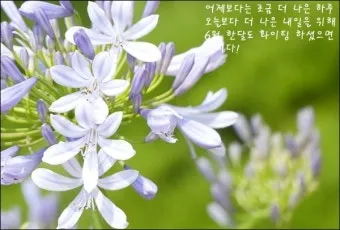 6월 인사말 모음 상황별 이미지 일러스트_27