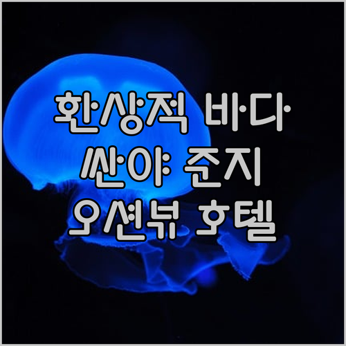 싼야 준지 오션뷰 호텔에서의 환상적인