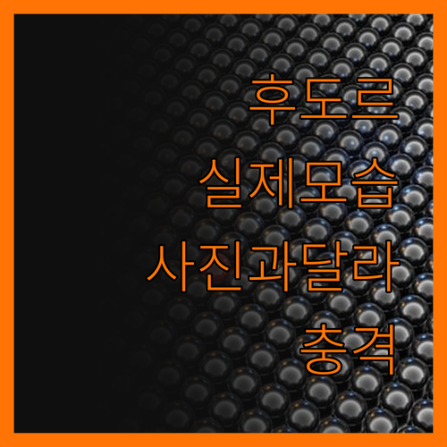 후도르 리조트, 사진과 다른 실제 모
