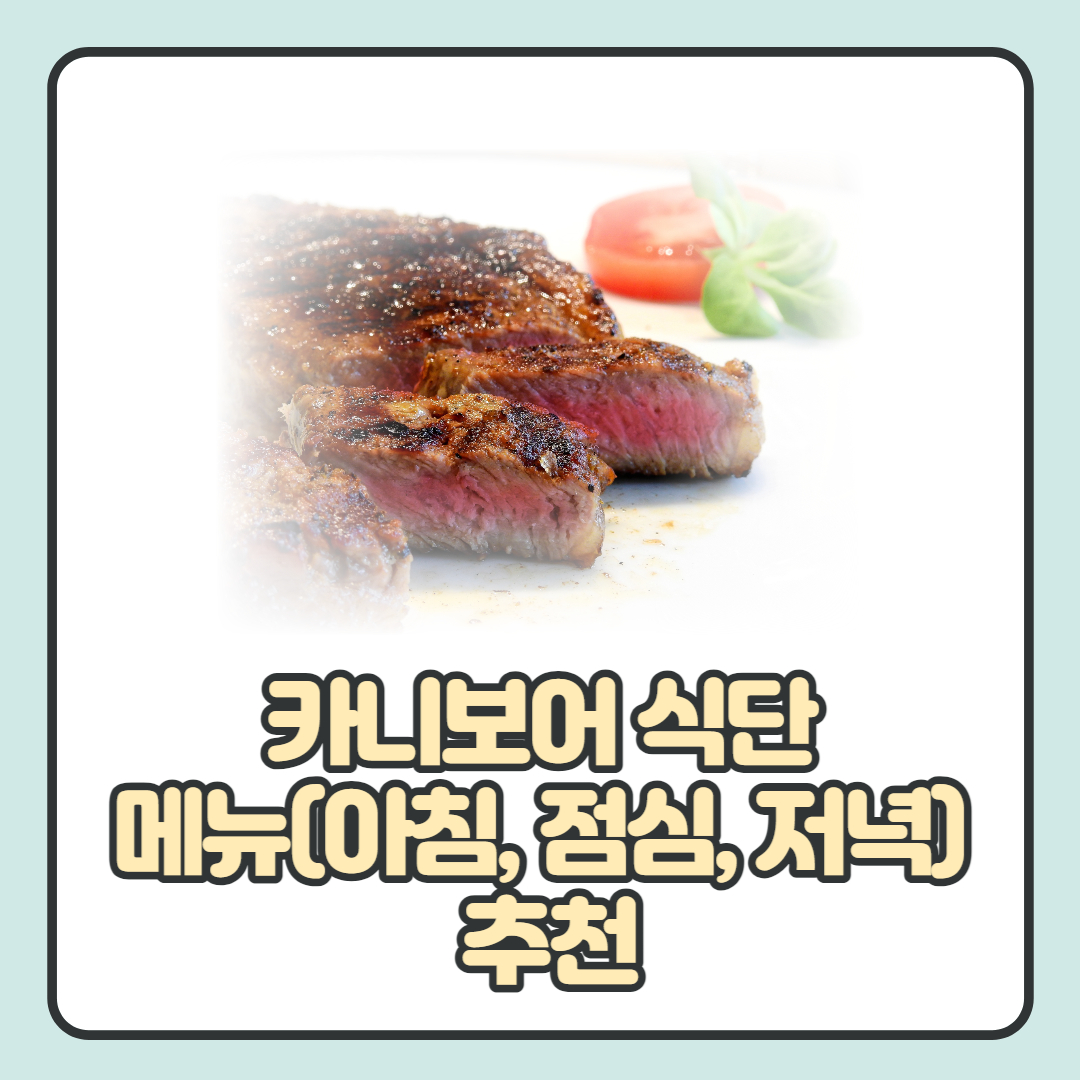 카니보어-식단-메뉴-추천