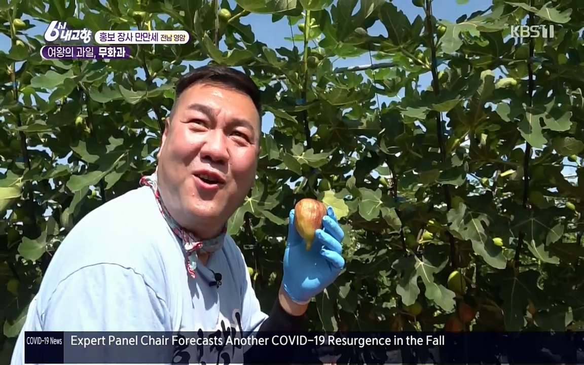 6시 내고향.E7602.220824p.H264-F1RST.mp4_20220825_171315.564.jpg