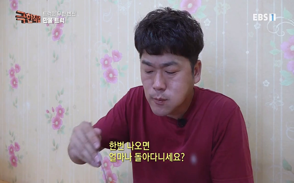 TV - 교육의 중심 EBS트럭의 무한 변신 만물트럭과 푸드트럭.mp4_20220927_211738.460.jpg