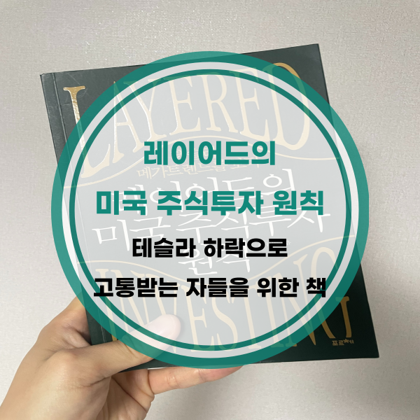 책&#44; 레이어드의 미국 주식투자 원칙