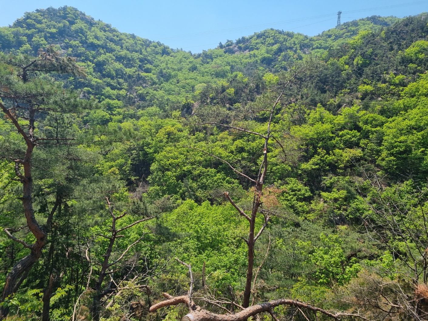 관악산초보등산