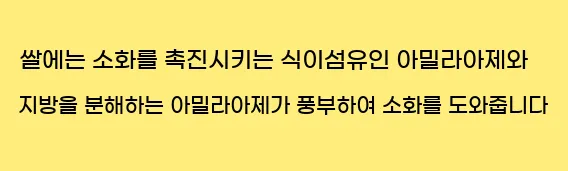  쌀에는 소화를 촉진시키는 식이섬유인 아밀라아제와 지방을 분해하는 아밀라아제가 풍부하여 소화를 도와줍니다