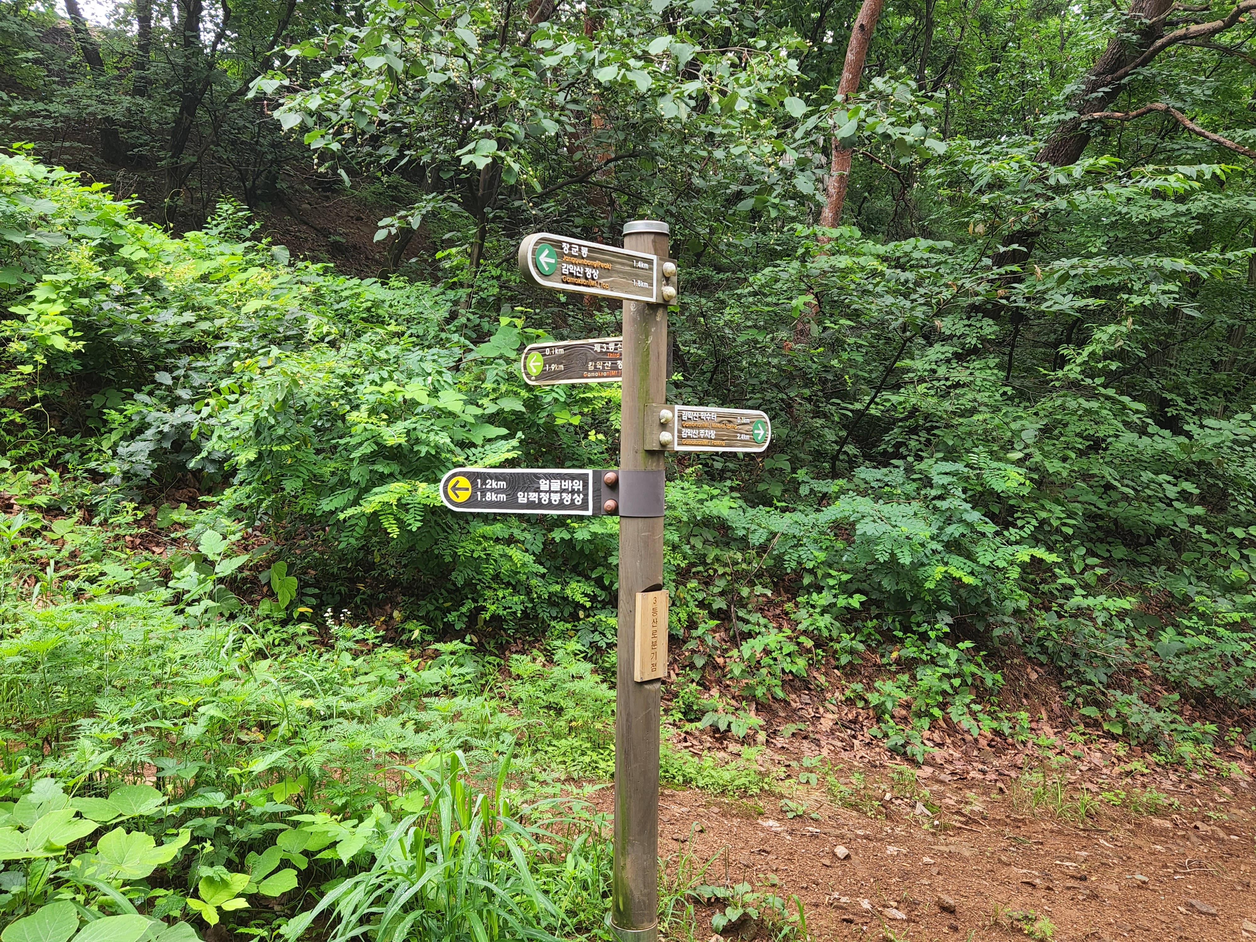 청산파크 이미지