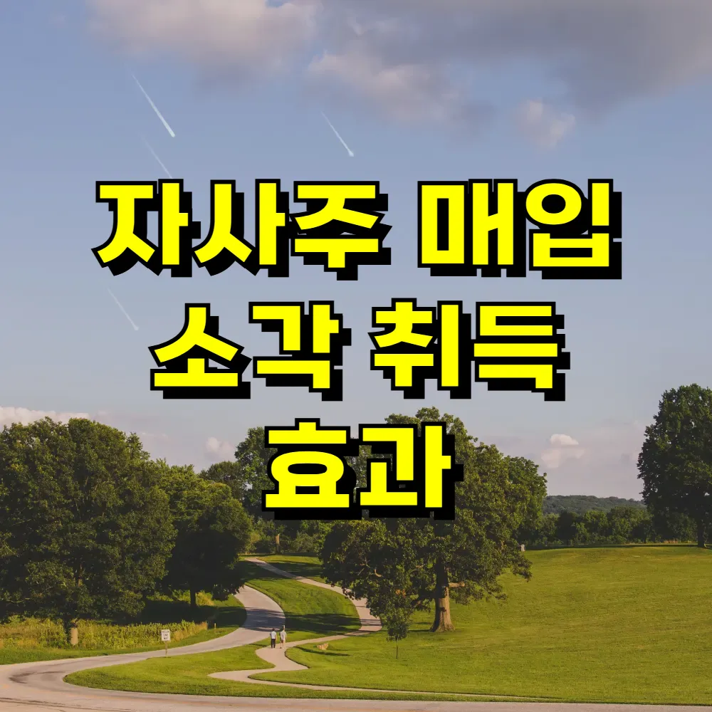 자사주 매입 소각 취득 효과