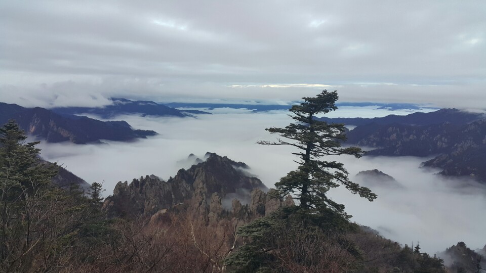 설악산 소청봉 주변에서 촬영한 운해