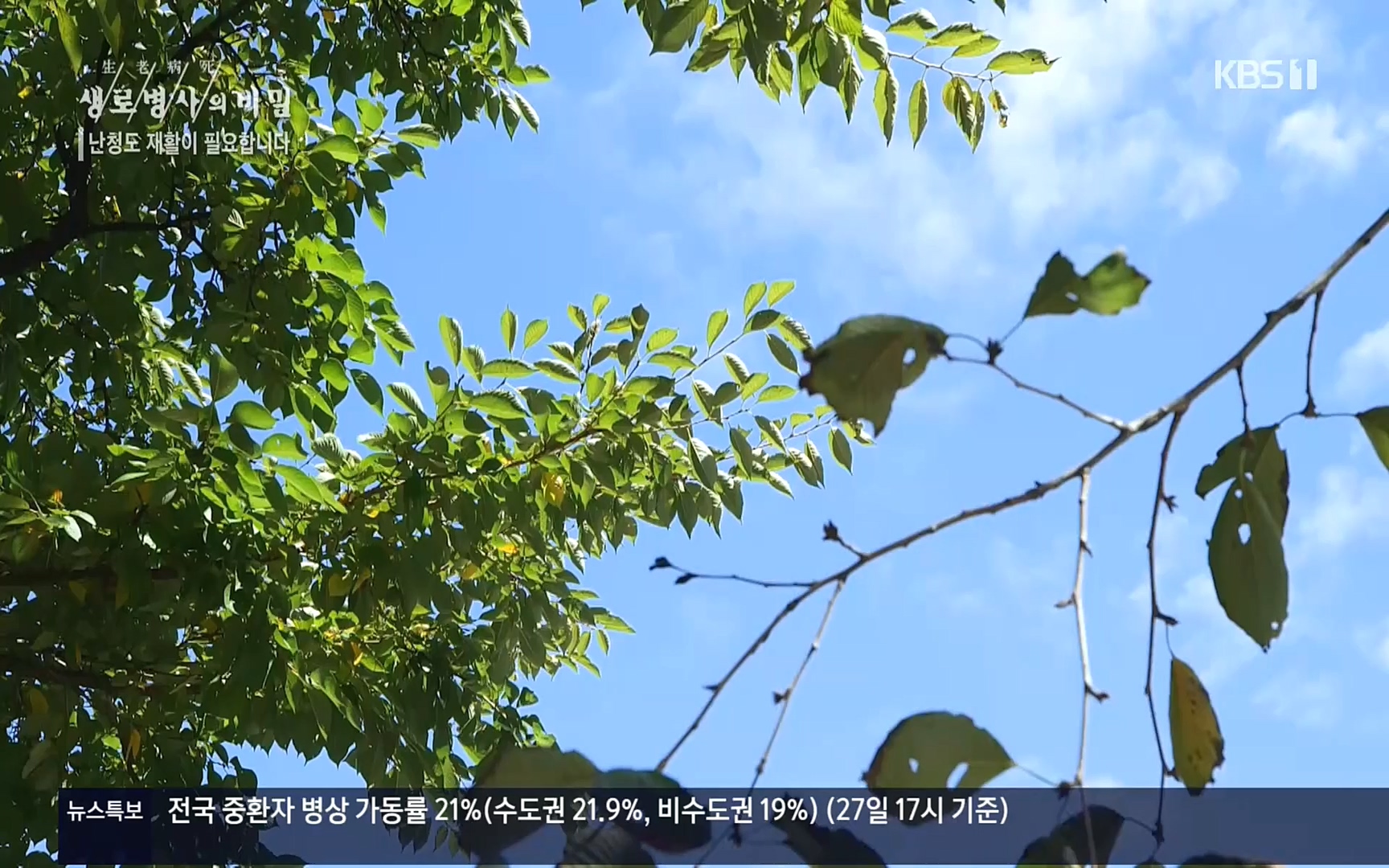 생로병사의 비밀.E837.220928p.H264-F1RST.mp4_20220930_212504.458.jpg