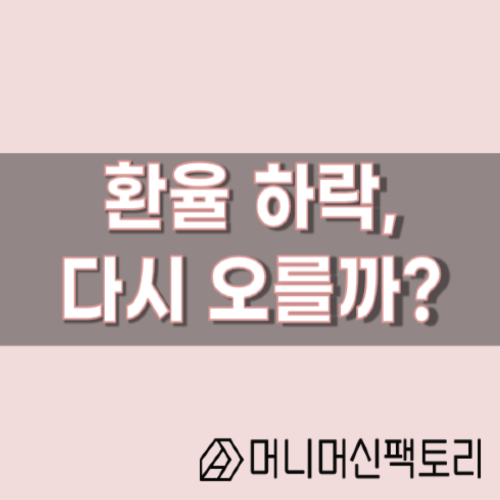  환율 하락, 떨어진 환율 다시 오를까? 환율의 경기자동조절기능