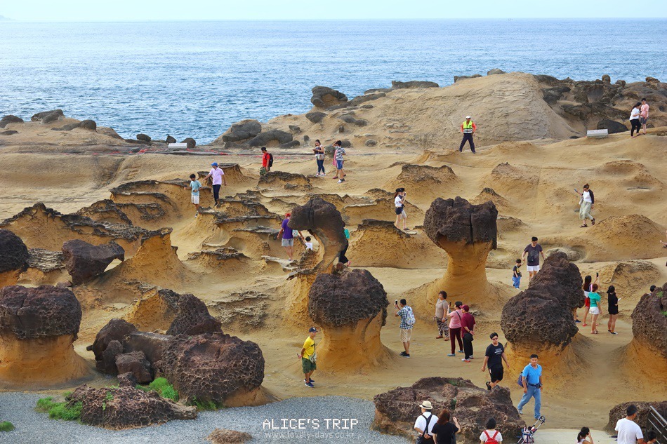 대만 여행 타이페이 가볼만한곳 BEST 07 101 전망대(새해불꽃축제) 미니어쳐 박물관 포함