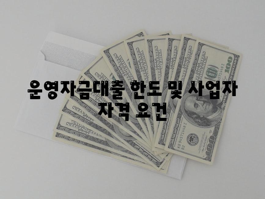 운영자금대출 한도 및 사업자 자격 요건