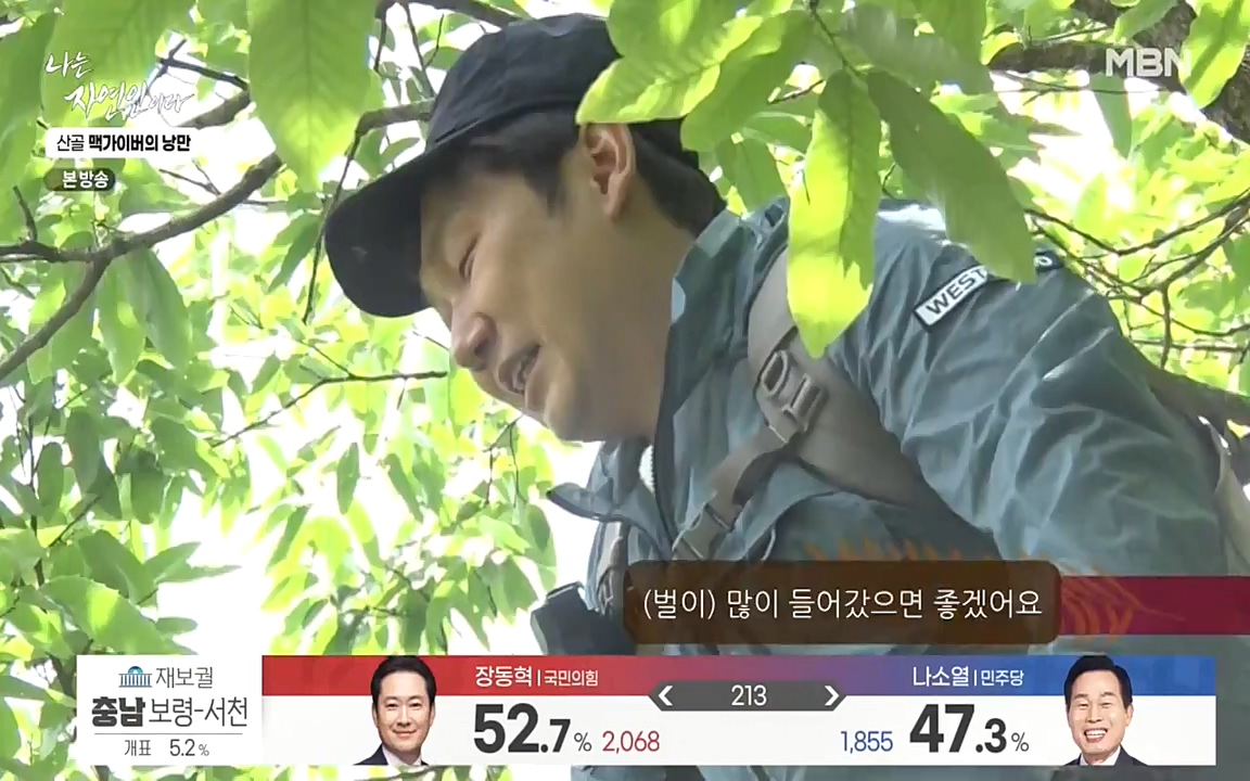 나는 자연인이다.E504.220602p-NEXT.mp4_20220602_201436.916.jpg
