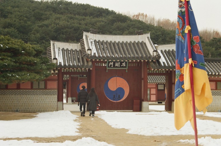 중고 펜탁스 SF7 자동차 필름 카메라 이야기. 결과는 9개월만에 나왔다. 16